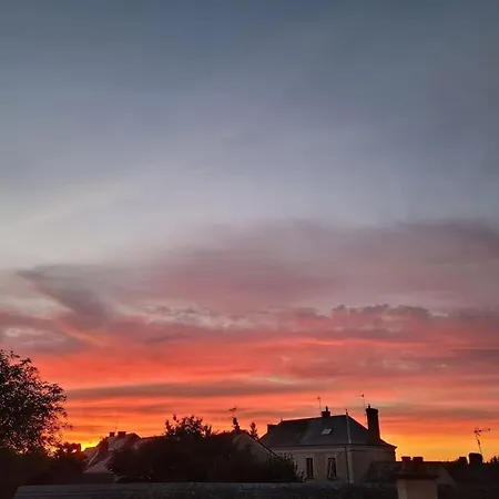 Des Hirondelles * Morannes sur Sarthe-Daumeray