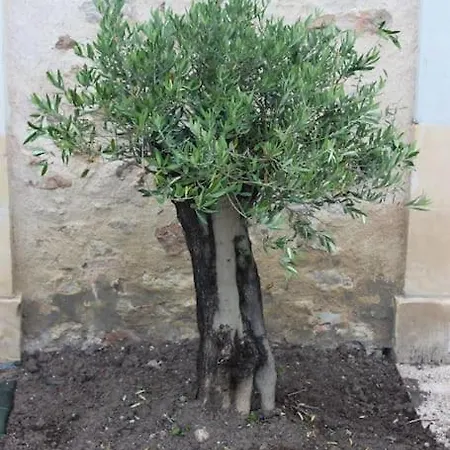 Des Hirondelles בית נופש Morannes sur Sarthe-Daumeray