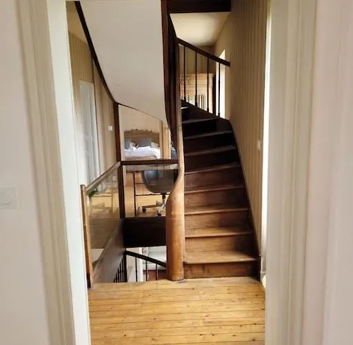 Des Hirondelles * Morannes sur Sarthe-Daumeray