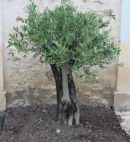 Des Hirondelles Ferienhaus Morannes sur Sarthe-Daumeray