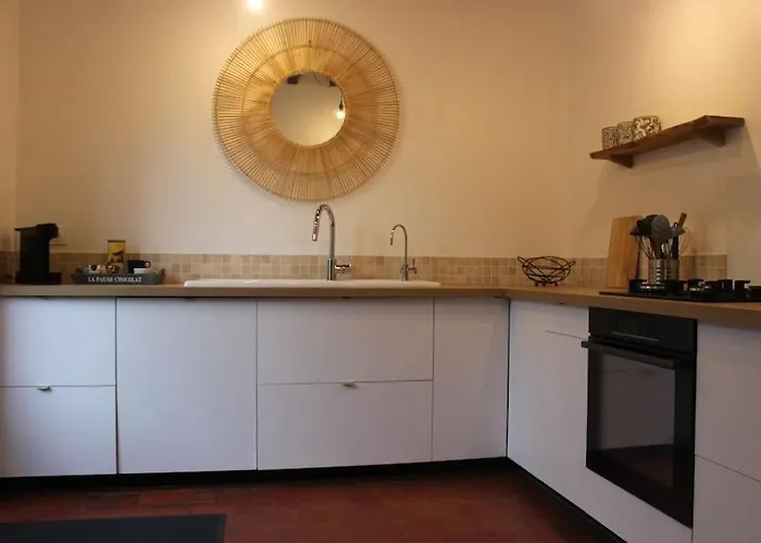 Des Hirondelles Morannes sur Sarthe-Daumeray