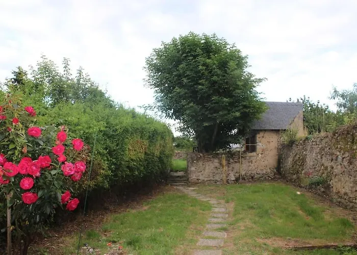 Des Hirondelles * Morannes sur Sarthe-Daumeray